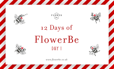 12 Days of FlowerBe | Win Your DIY Scented Botanical Wreath Kit