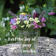 Fresh Flower Botanical Posy Monthly Subscription
