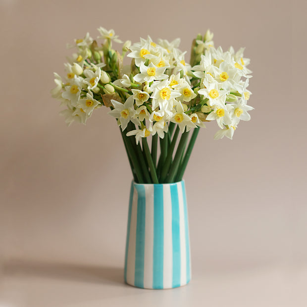 Letterbox Gift of Winter Flowers - Scented Narcissus
