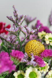 Botanical Posy and House Vase Duo