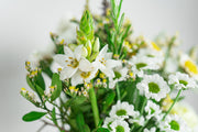 Botanical Posy and House Vase Duo