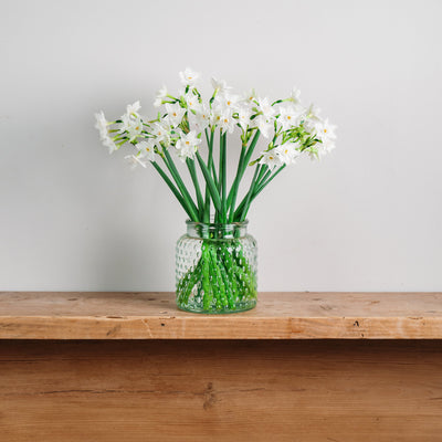 Letterbox Christmas gift of Scented Narcissus