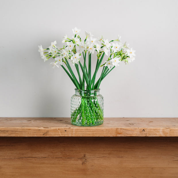 Letterbox Christmas gift of Scented Narcissus