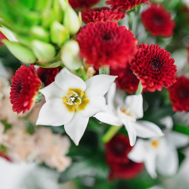 Christmas Posy with Ceramic Vase