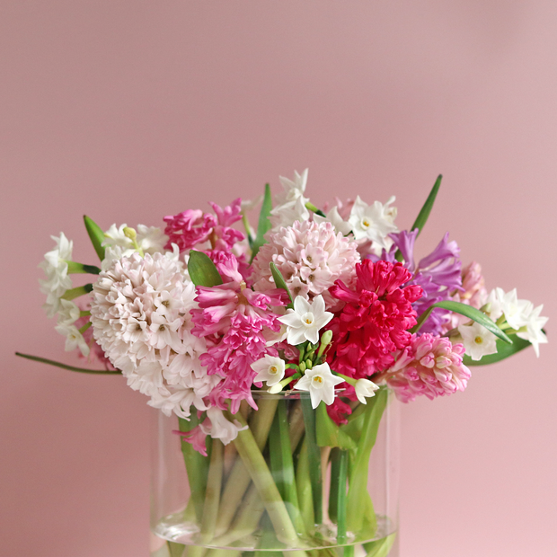Valentine's Day Bouquet of scented Hyacinths & Narcissus