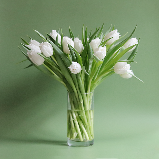 White Frilled 'Honeymoon' Tulips (Weekly Special)